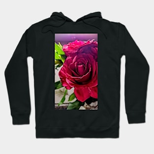 Beautiful Red Rose Photo Hoodie